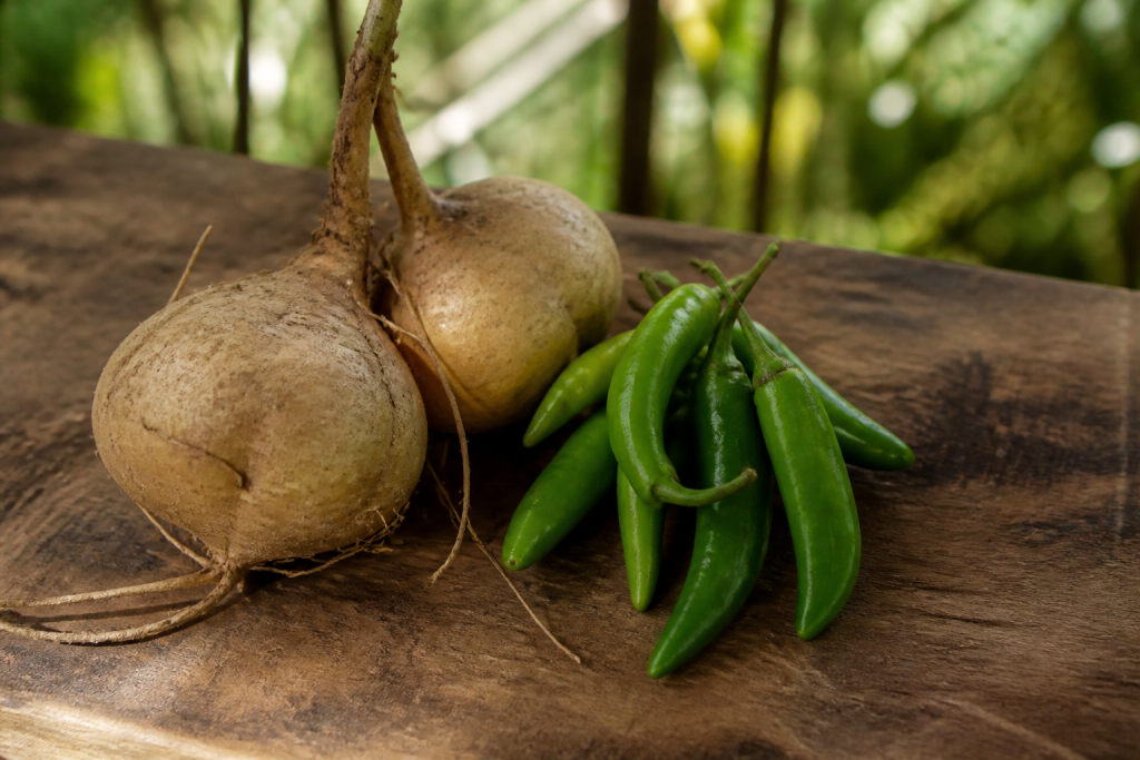 Racines brunes de jicama et piments verts sur bois